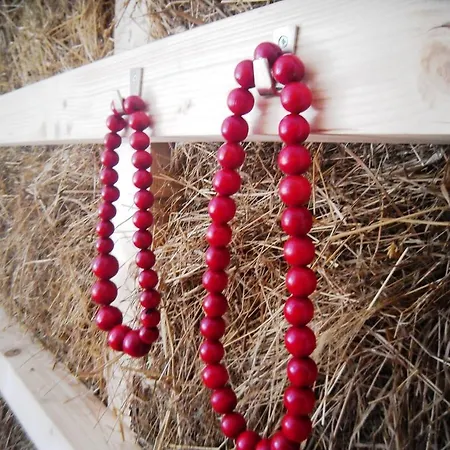 Lili & Country Krasków