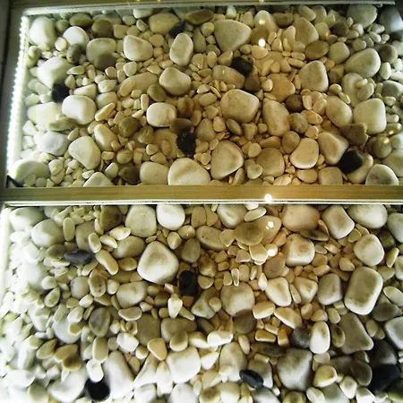 Apartman Lili & Country Krakkó